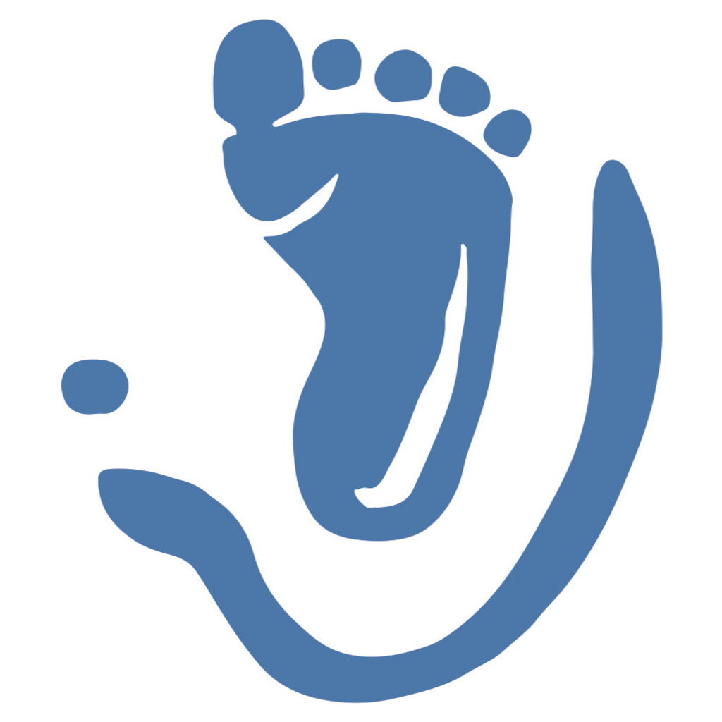 Icône application StepCatcher